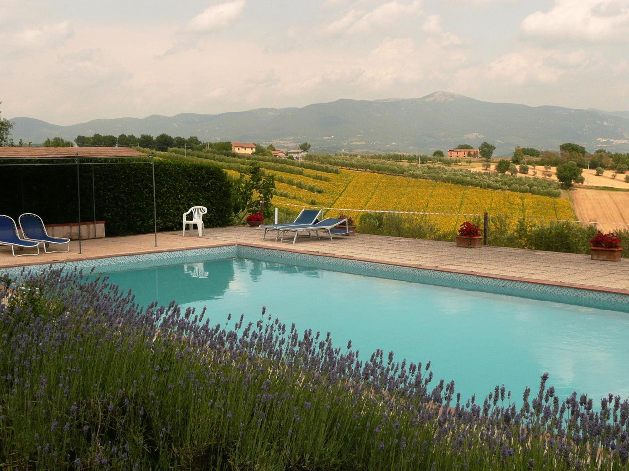 Agriturismo San Cristoforo Amelia Exterior foto