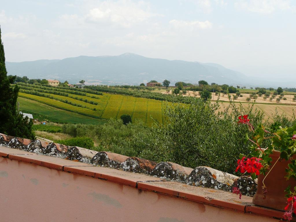 Agriturismo San Cristoforo Amelia Exterior foto