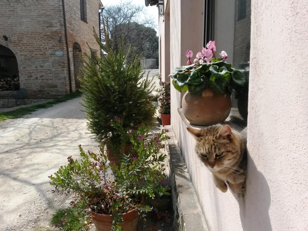 Agriturismo San Cristoforo Amelia Exterior foto
